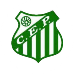 Logo do Paysandu